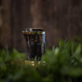 Load image into Gallery viewer, Drikkeglashornet (100 ml) er sat mod en sløret træbaggrund med grønt løv i forgrunden. Dette polerede drikkeglas fremviser en skinnende kant og et glat, buet design.