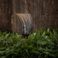 Load image into Gallery viewer, Et glat, poleret Drikkeglas Horn Plain (300 ml) lavet af bøffelhorn står oprejst midt i grønt løv med en rustik træbaggrund. Hornet har en naturlig gradient af mørke og lyse toner, hvilket giver en jordagtig æstetik, der står i kontrast til de levende grønne blade omkring det.