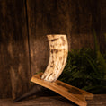 Load image into Gallery viewer, Drikkehorn Raw m. Thors Hammer Holder, med et poleret horn med marmoreret mønster, hviler elegant på et træstativ. Den rustikke trævægbaggrund, med grønne bregner delvist synlige på højre side, sætter en naturlig og historisk stemning, der minder om gammel vikingeindretning.