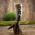 Load image into Gallery viewer, Et poleret Drikkehorn Yggdrasil U. Mønster står på en træoverflade med en lille grøn kulisse. Hornet har en naturlig buet form og holdes oprejst af et træstativ. Scenen, der minder om Yggdrasils rødder, fremkalder en rustik, historisk stemning svarende til, hvad du ville finde på et vikingemarked.