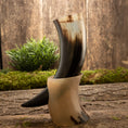 Load image into Gallery viewer, To Drikkehorn Valravn, den ene i beige og den anden i sort med hvide og brune striber, er elegant stablet på en rustik træoverflade. Bag dem er en frodig grøn plante, og baggrunden har et forvitret træpanel prydet med mosede pletter, der perfekt fanger en autentisk vikingemærket atmosfære.