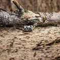 Load image into Gallery viewer, En smukt vævet Skægperler / Hårpynt Vævet Lille Stål hviler på en barsk træstamme, der blander sig problemfrit med sine naturlige omgivelser. Baggrunden viser tekstureret bark og grene, hvilket giver en jordagtig, rustik følelse, der fremhæver ringens autentiske udseende.
