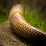Drinking Horn Chief