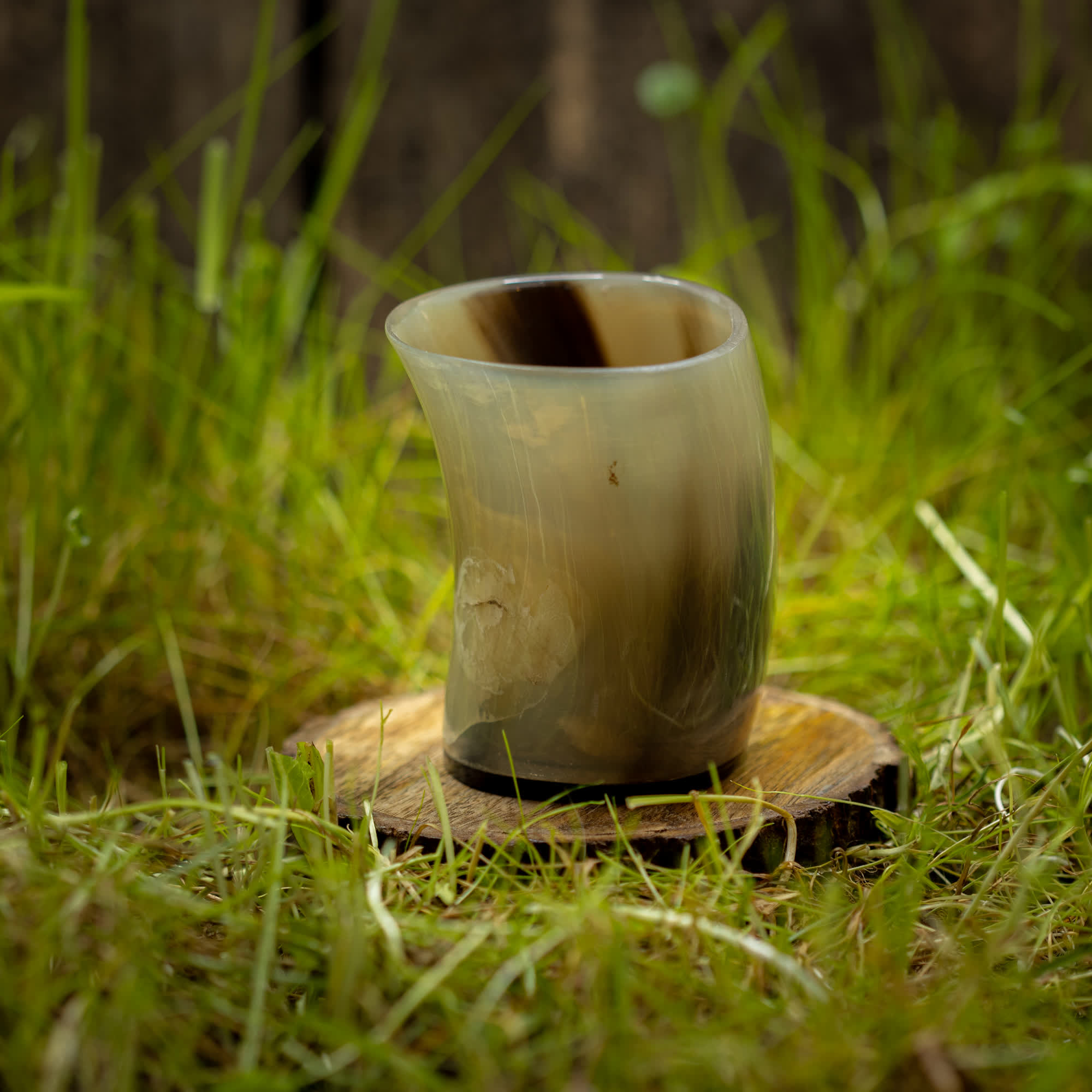 Et poleret Drikkeglas Nature Horn (100 ml), hviler på en træskranke på en græsklædt overflade. Denne unikke kop har en glat, blank finish med naturlige farvevariationer lige fra mørkebrun til beige. Græs- og træbaggrunden tilføjer en rustik, udendørs følelse.