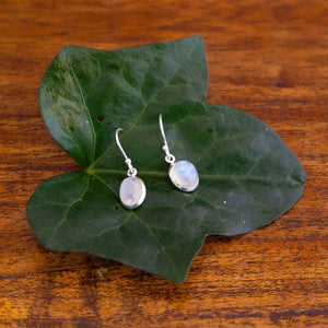 Hanging Earrings Droplet 925s Silver
